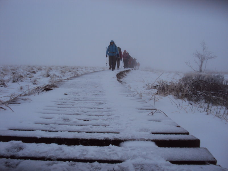fagnes04178.jpg