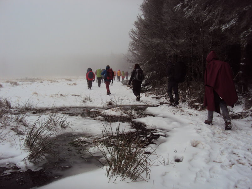 fagnes04179.jpg