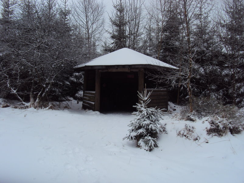 fagnes04205.jpg