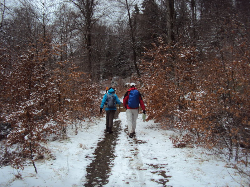 fagnes04218.jpg