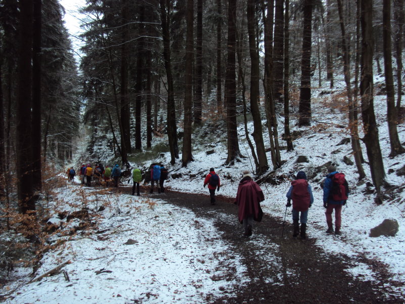 fagnes04220.jpg