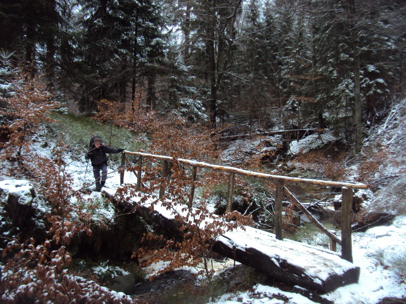fagnes04225.jpg
