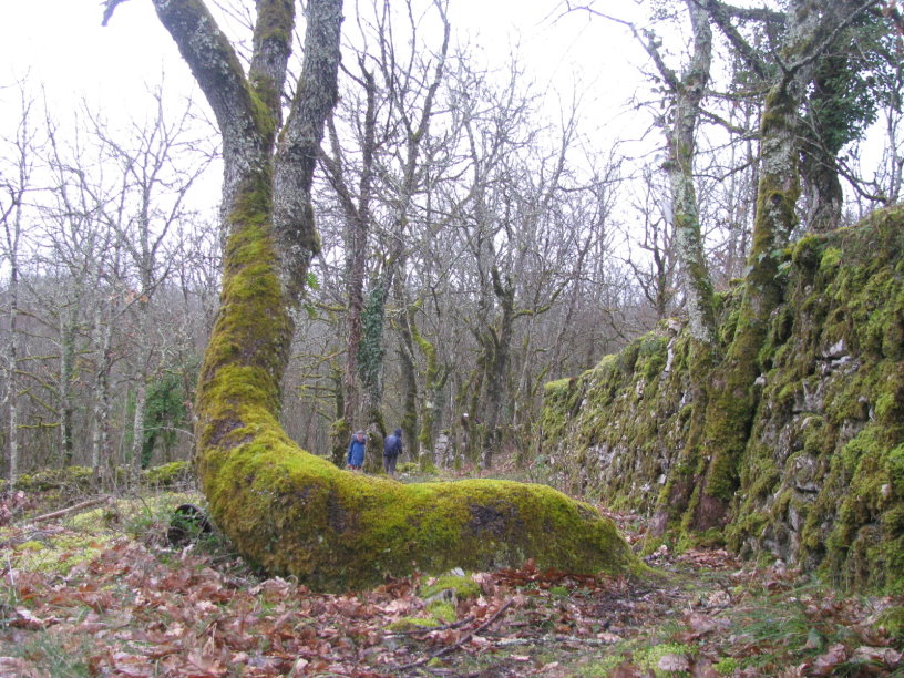 calvignac1480.jpg