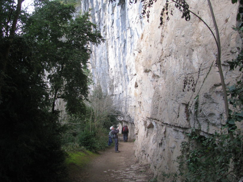 stcirq1690.jpg