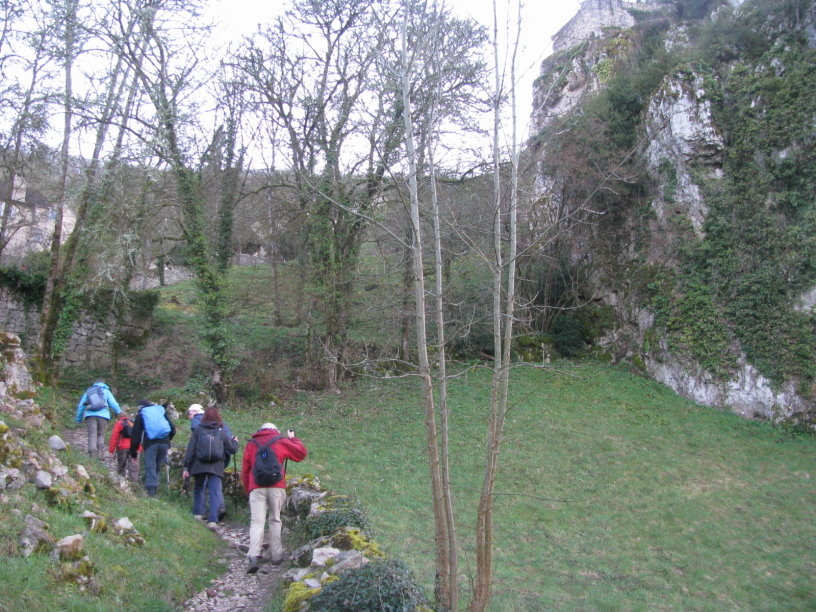 stcirq1715.jpg