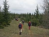 stcirq1648.jpg