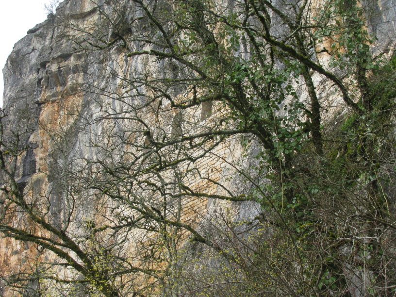 brengues1745.jpg
