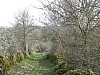 beduer1887.jpg