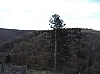 transcalestienne04730.jpg