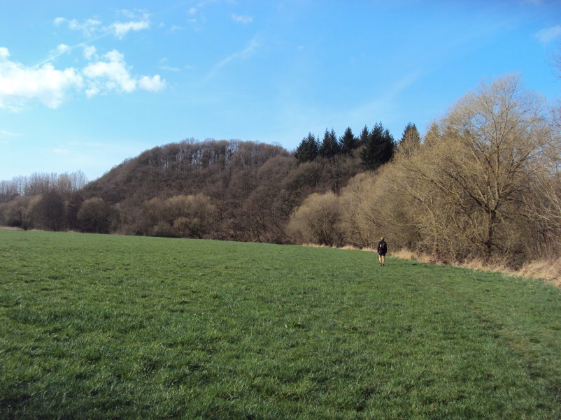 transcalestienne04827.jpg