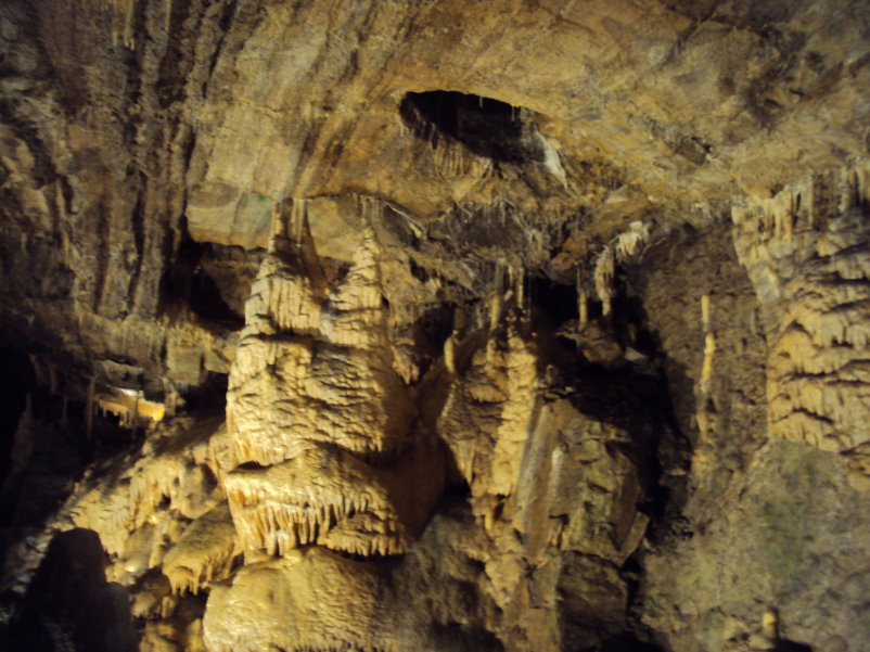 transcalestienne04855.jpg