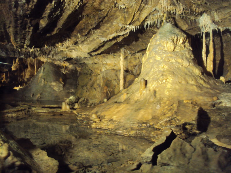 transcalestienne04860.jpg