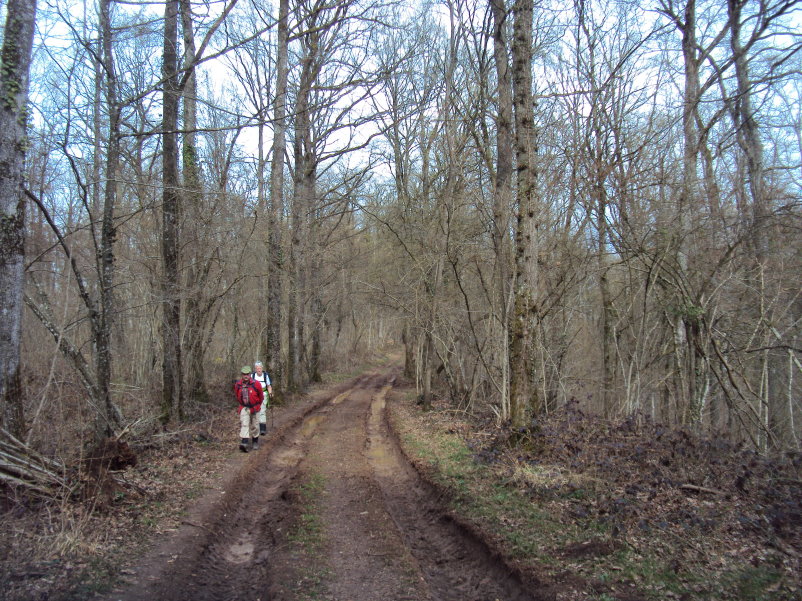 transcalestienne04877.jpg