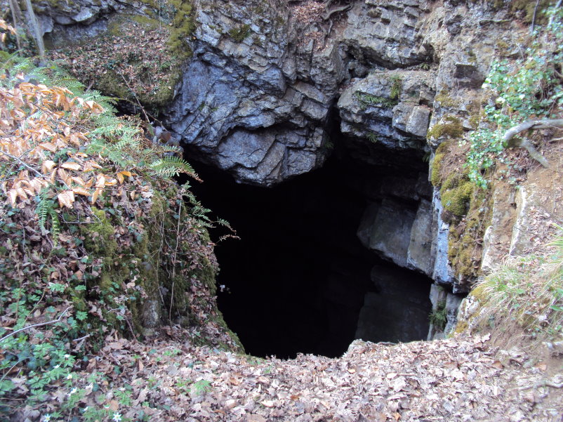 transcalestienne04878.jpg