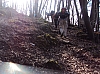 transcalestienne04834.jpg