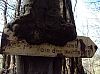 transcalestienne04835.jpg