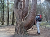 transcalestienne04843.jpg