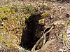 transcalestienne04879.jpg