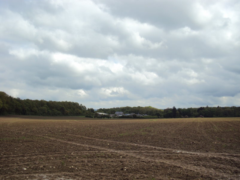 transcalestienne04979.jpg