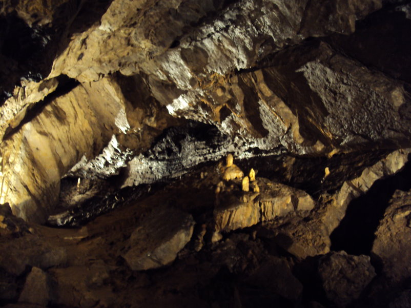 transcalestienne05016.jpg