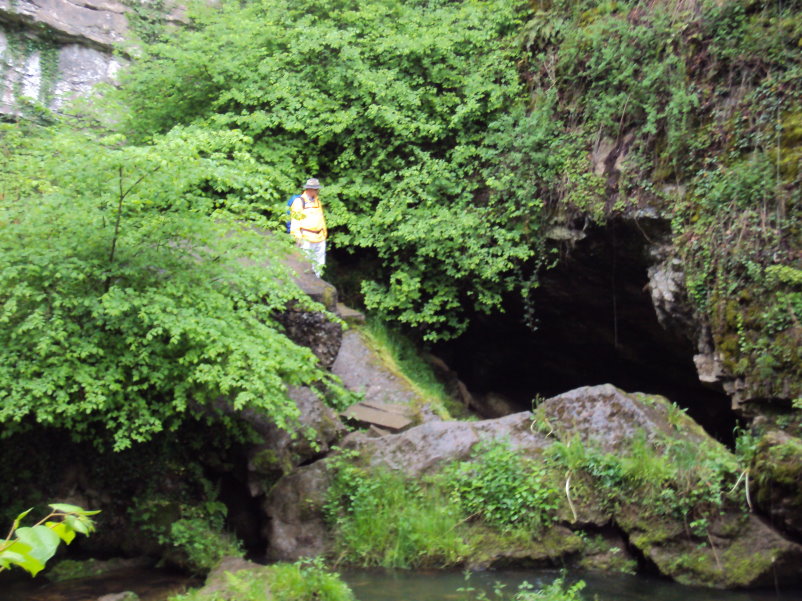 transcalestienne05036.jpg