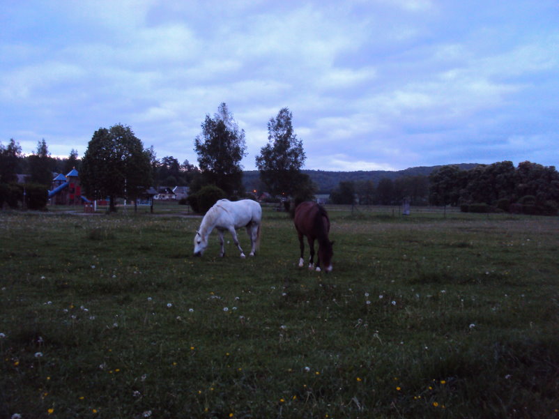 transcalestienne05110.jpg