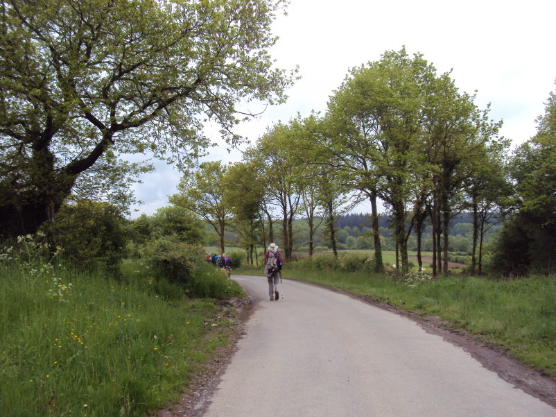 transcalestienne05145.jpg