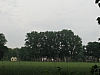 wezembeek3170.jpg