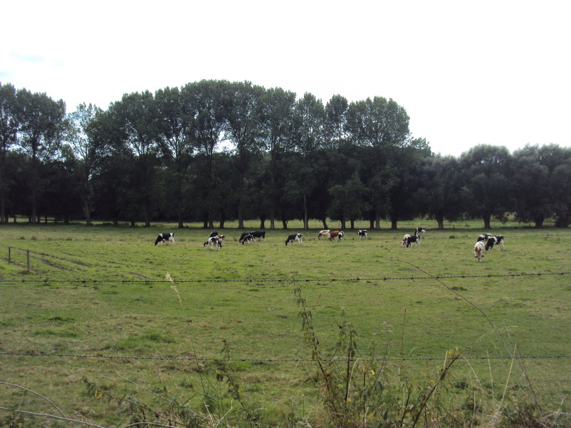 linkebeek06130.jpg