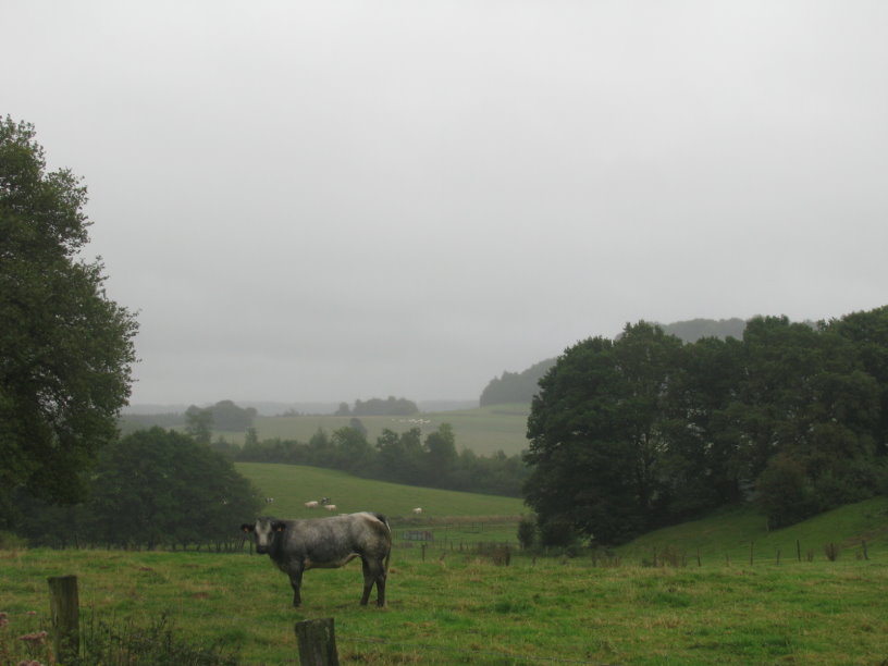 orval_3653.jpg