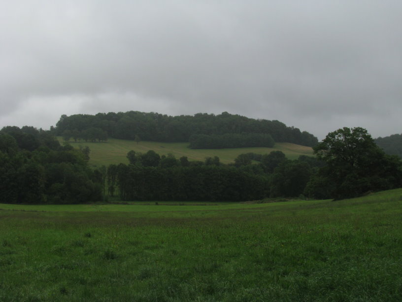 orval_3662.jpg