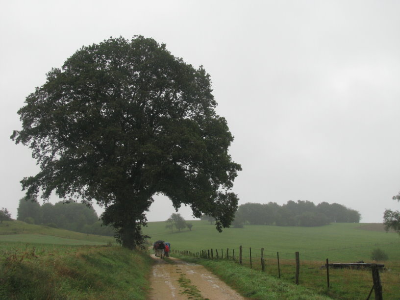 orval_3672.jpg