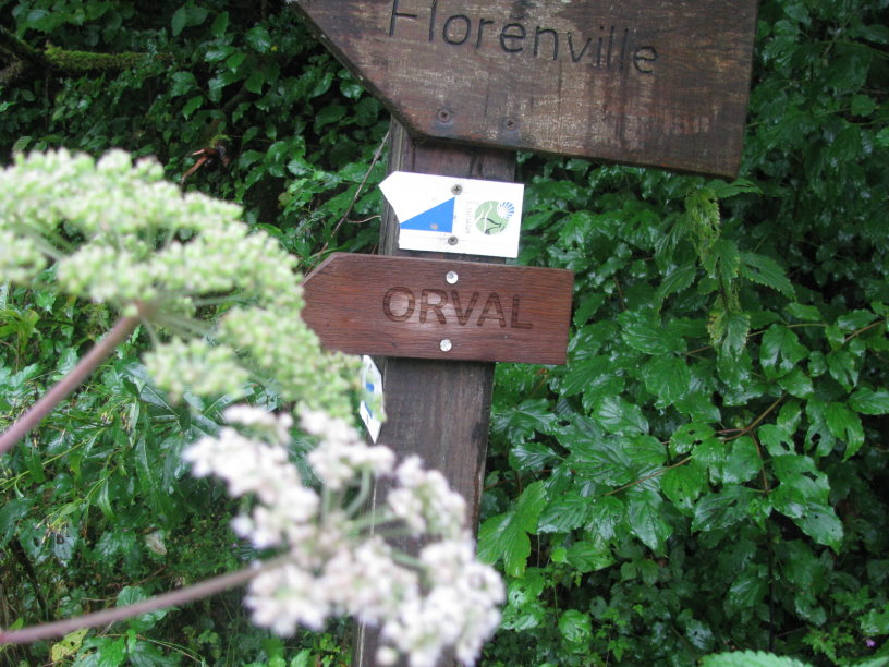 orval_3674.jpg
