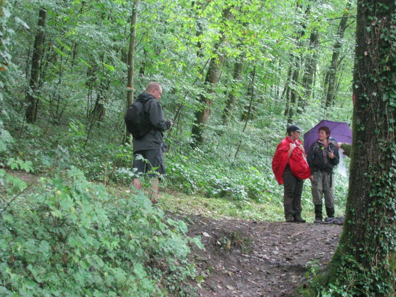 orval_3681.jpg