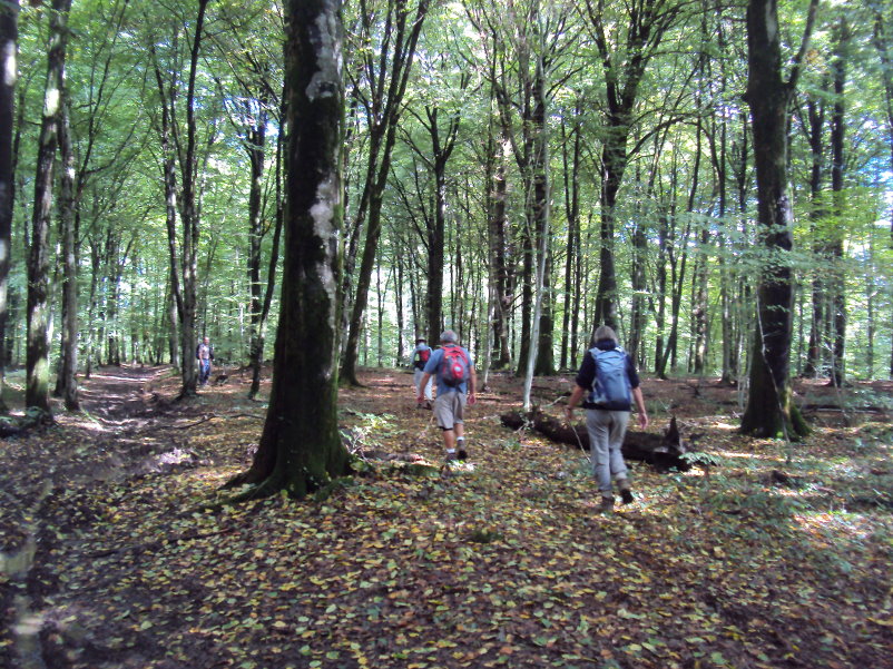 orval06331.jpg