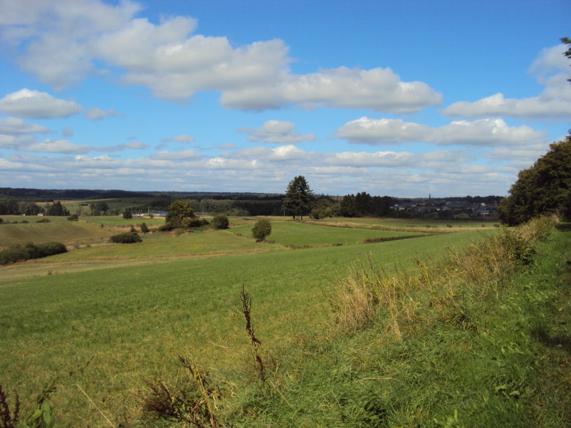 orval06337.jpg