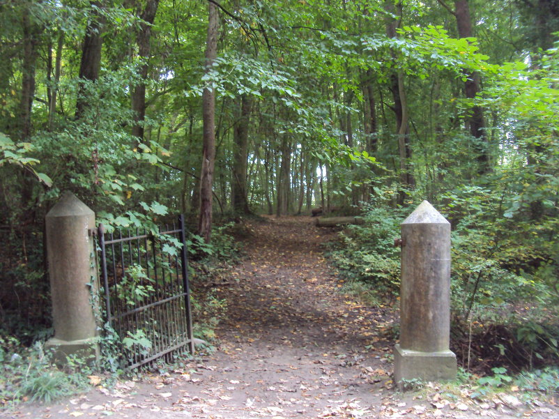 mozet06574.jpg