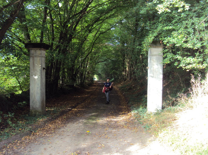 mozet06591.jpg