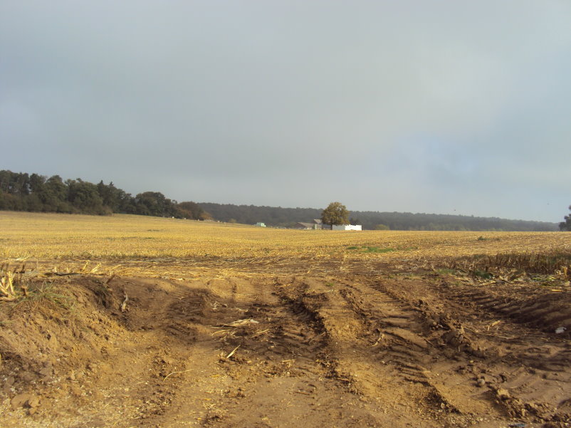 mozet06594.jpg