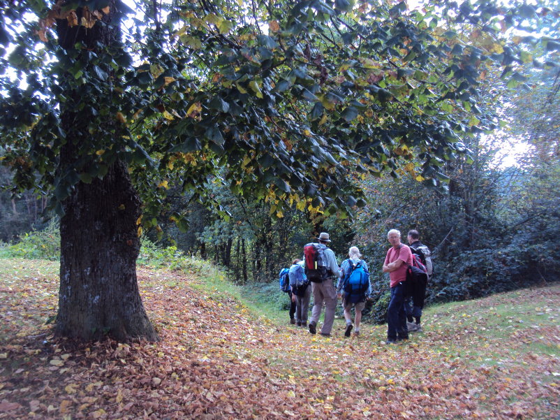 mozet06619.jpg
