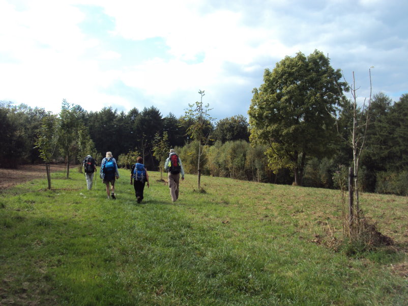 mozet06630.jpg