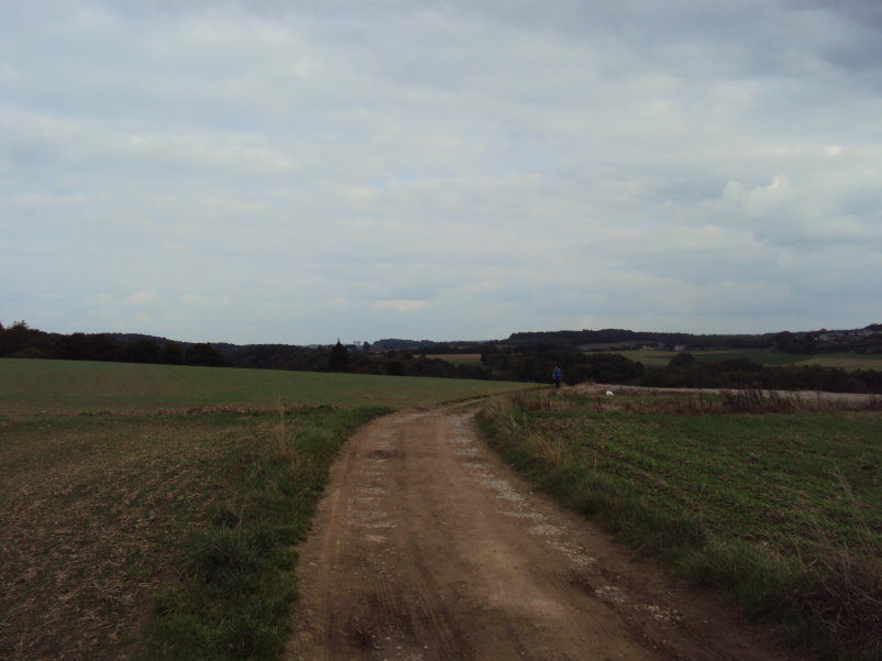 mozet06640.jpg