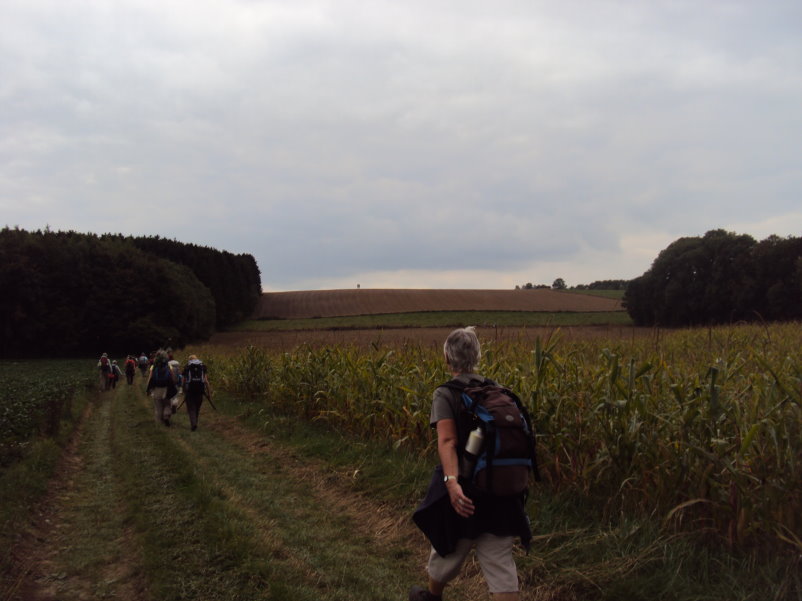 mozet06650.jpg