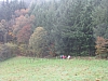 eifelsteig4077.jpg