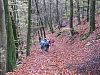 eifelsteig4136.jpg