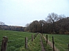 brainelalleud07054.jpg