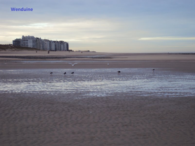 blankenberge7209.jpg