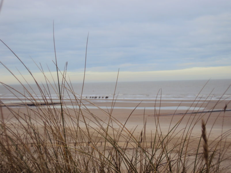 blankenberge7214.jpg