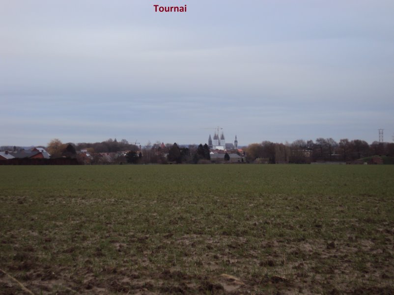 tournai7325.jpg