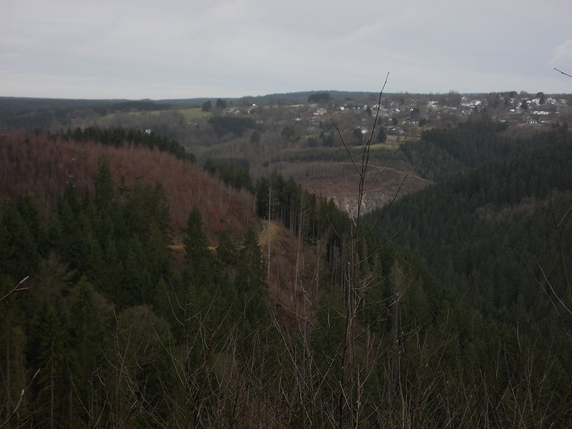 fagnes778.jpg